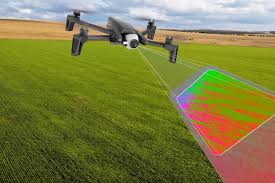 Process with standards